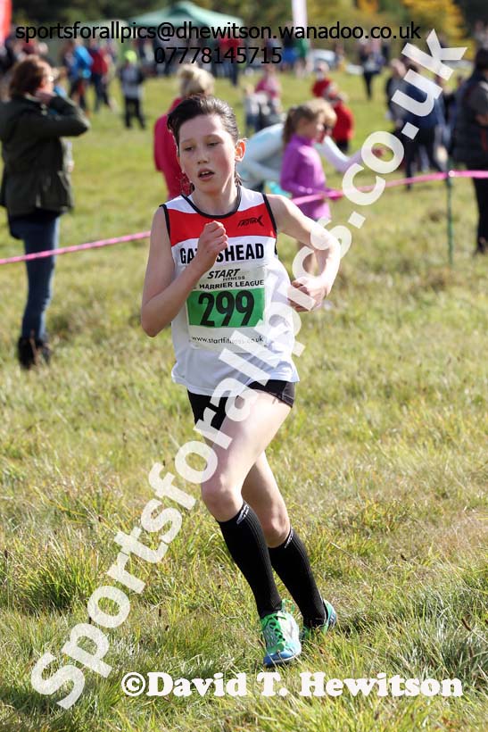 Girls under-13s, North East Harrier League, Cramlington. Photo: David T. Hewitson/Sports for All Pics